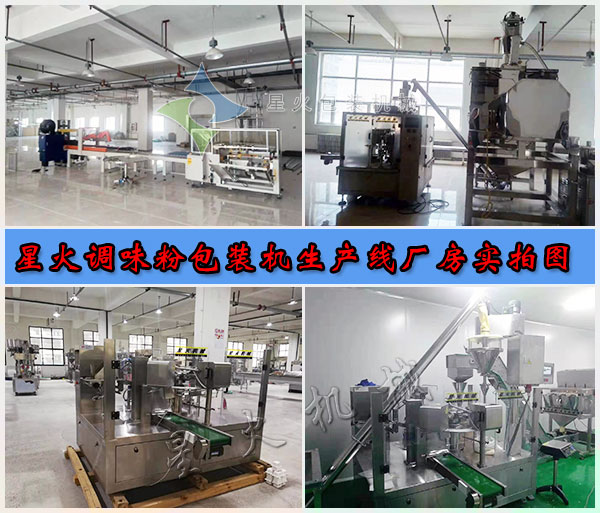 星火調(diào)味粉包裝機(jī)生產(chǎn)線廠房實(shí)拍圖