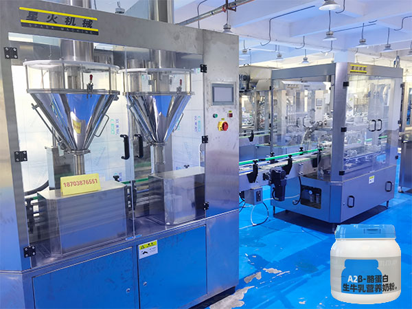 雙頭粉劑自動包裝機